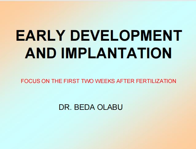 No preview available